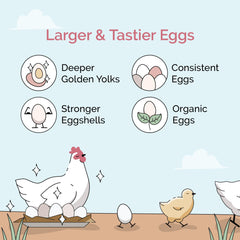 Mile Four Chicken Grit Layer & Grower label and product details.
