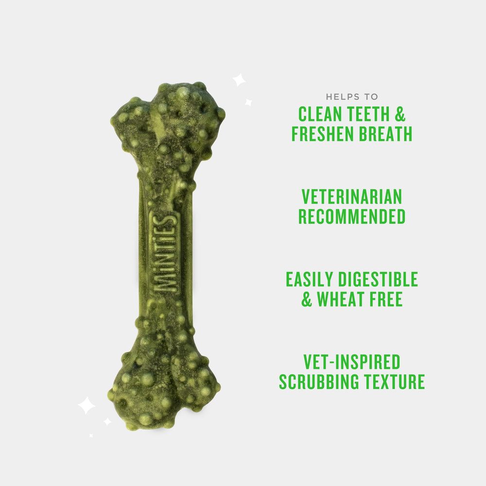 A small dog chewing a Minties dental chew.