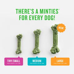 Minties dental chews with peppermint, parsley, fennel, dill and alfalfa ingredient details.