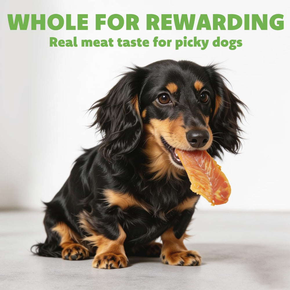 MON2SUN chicken breast jerky shown as a training reward for a dog.