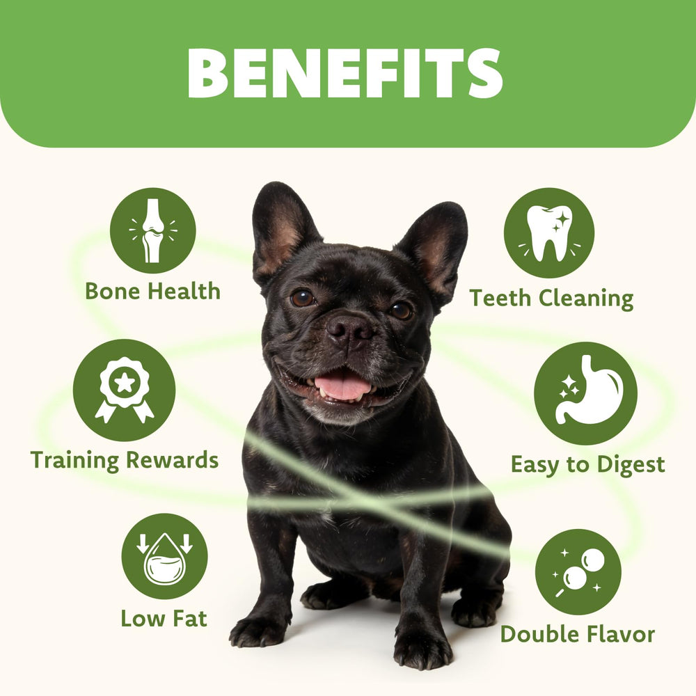 A single MON2SUN dog treat shown as an individual chew.