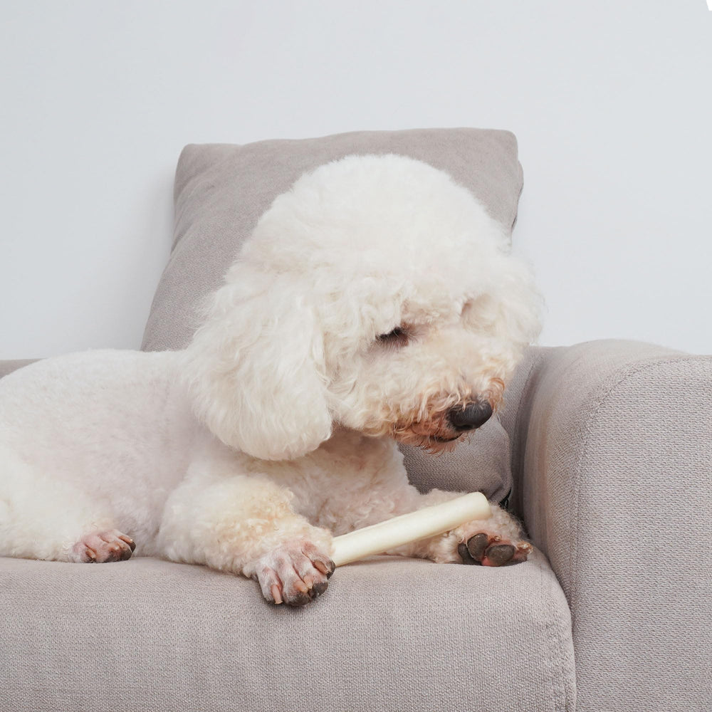 MON2SUN rawhide rolls arranged together as a multi-chew pack.