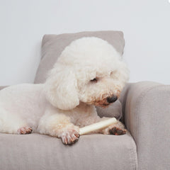 MON2SUN rawhide rolls arranged together as a multi-chew pack.