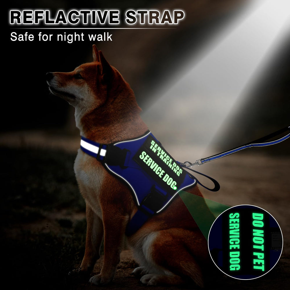 MOOGROU service dog harness chest and neck buckle details.