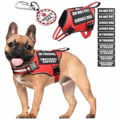 MOOGROU service dog vest harness shown from the front in red.
