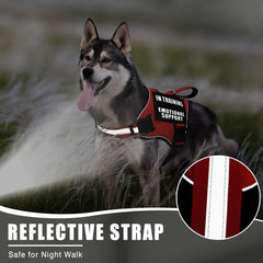 MOOGROU service dog vest harness set with the metal engraved ID tag.