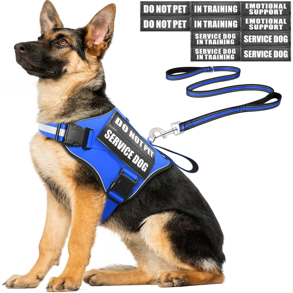 MOOGROU service dog vest harness and leash set shown from the front.