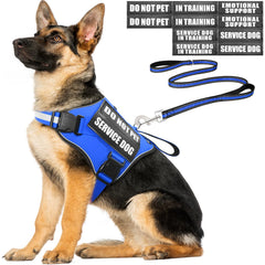 MOOGROU service dog vest harness and leash set shown from the front.