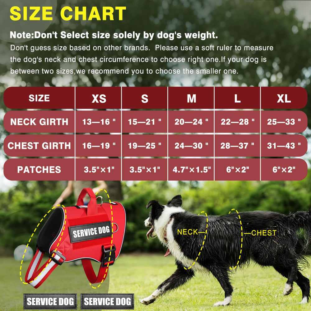MOOGROU service dog vest detail showing its adjustable sections and quick-release buckles.