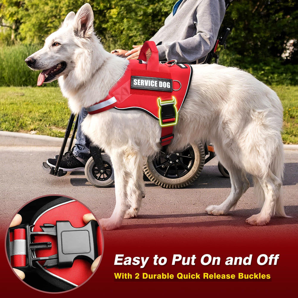 MOOGROU service dog vest kit ID tag with its lobster clasp.