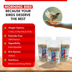 Morning Bird Sunflower Hearts & Chips shown close up to reveal the seed texture.