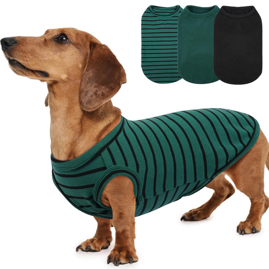 MORVIGIVE Dachshund sweater shown from the front.