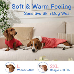 MORVIGIVE dachshund sweater shown with its sleeveless vest shape.