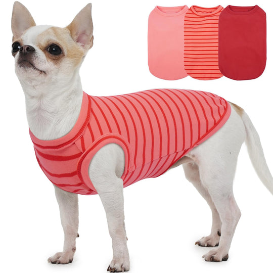 MORVIGIVE dachshund sweater three-pack shown from the front.