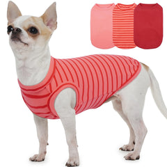 MORVIGIVE dachshund sweater three-pack shown from the front.