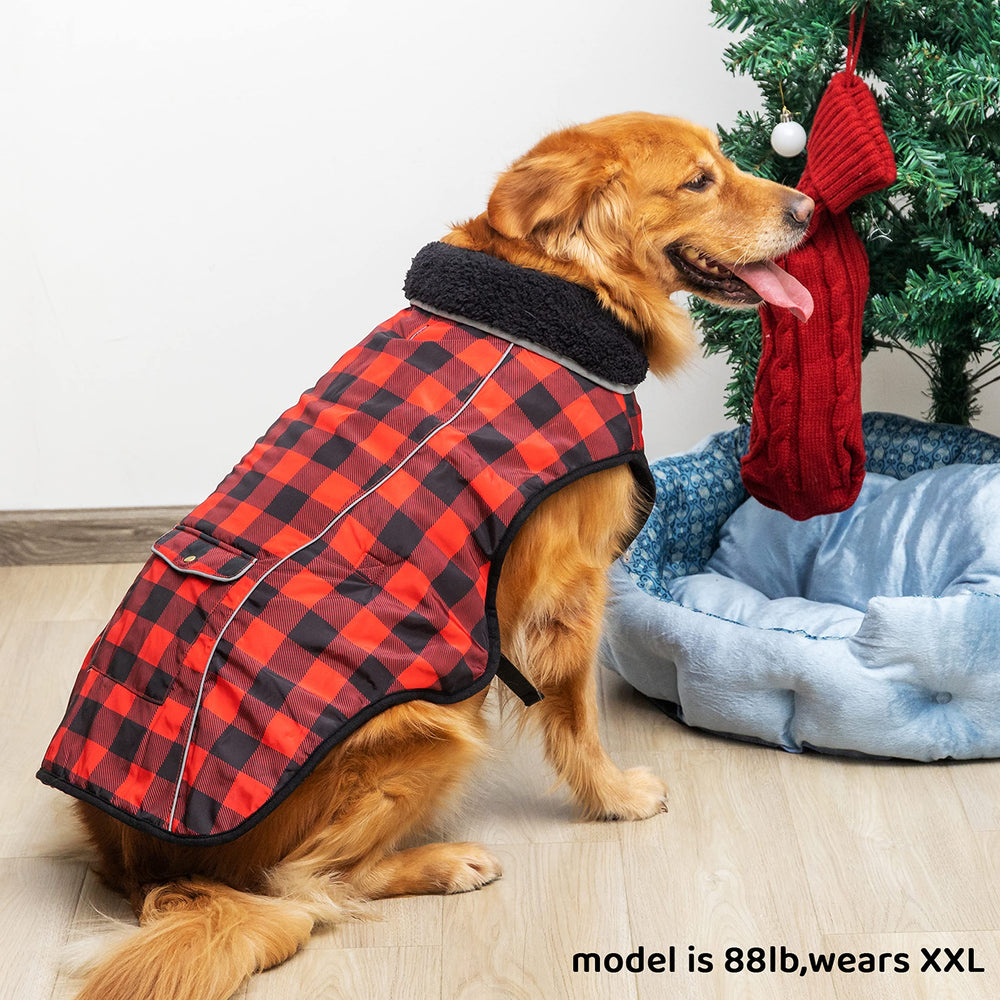 MOTZABO dog winter coat adjustable belly safety buckle shown.