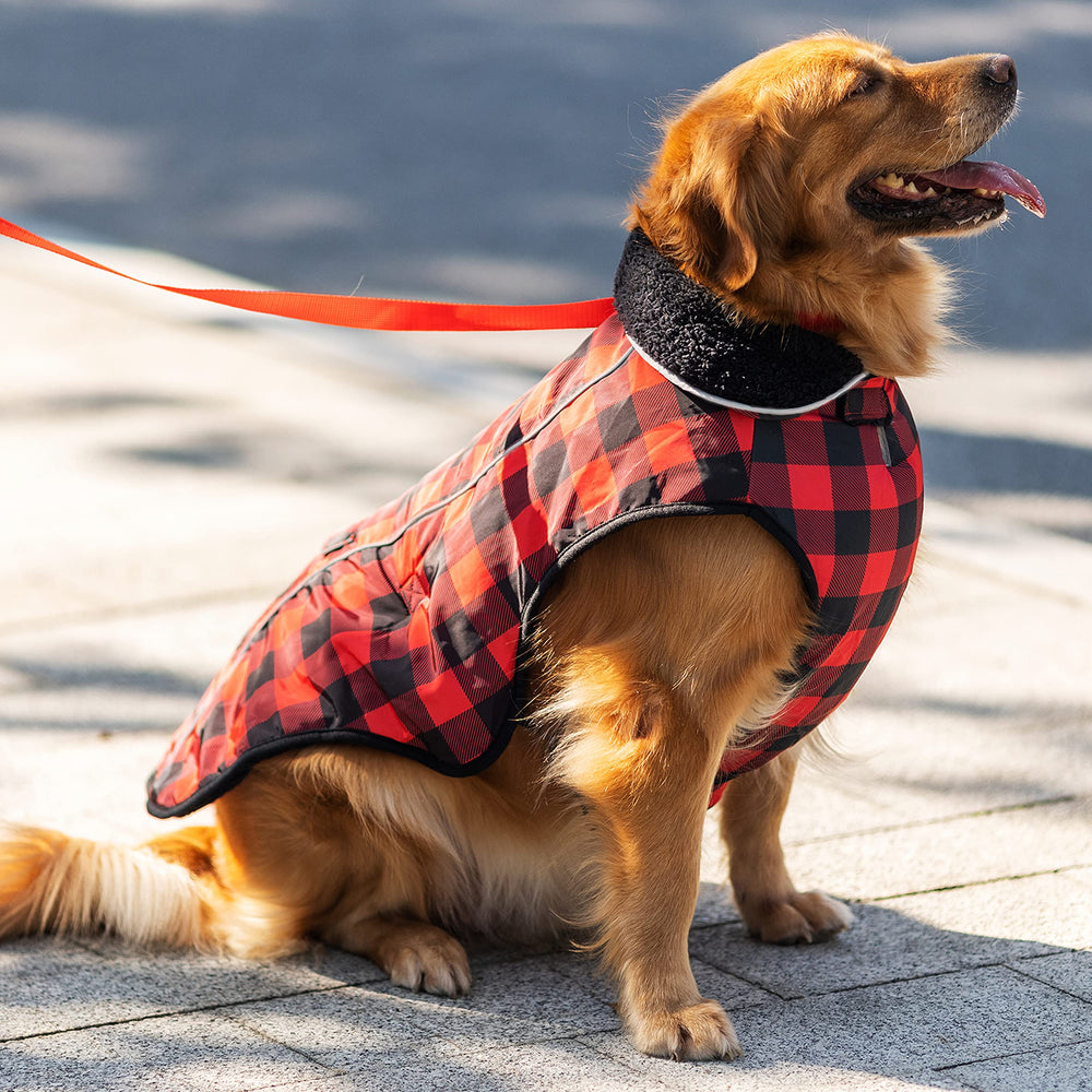 MOTZABO dog winter coat reflective design shown in close-up.