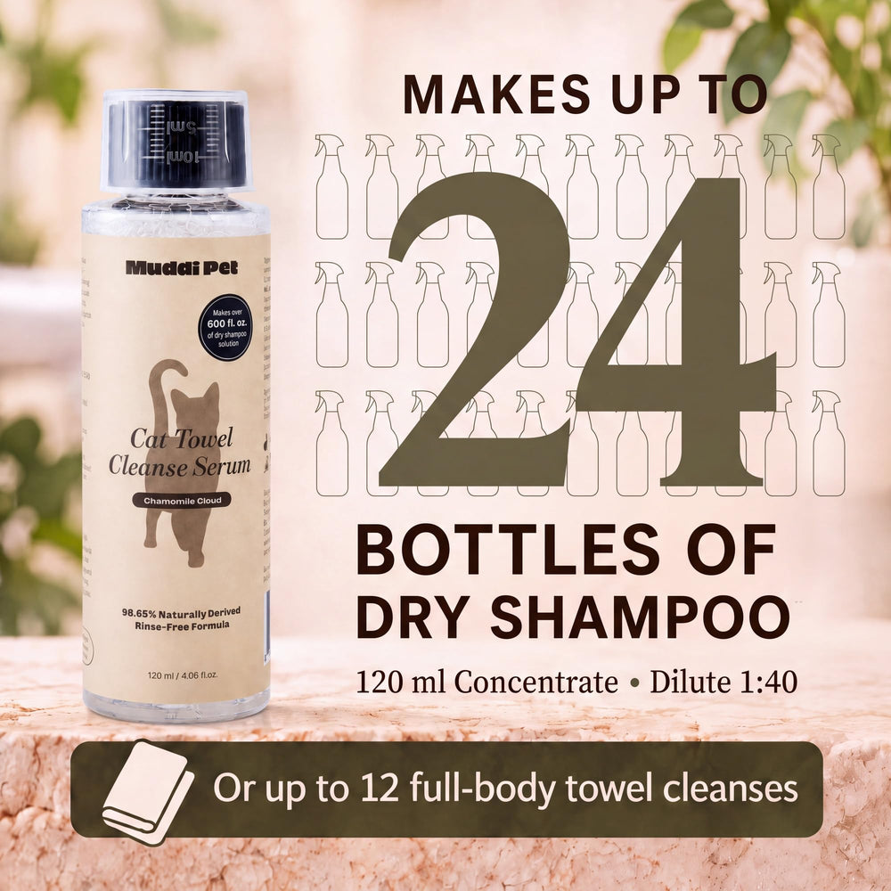 Muddi Pet waterless cat shampoo applied during a towel cleanse for a cat.