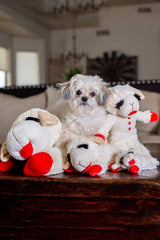 Multipet Lamb Chop dog toy shown from a side angle.
