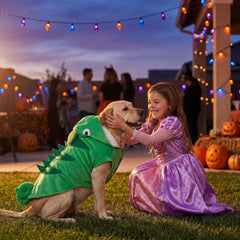 MuYaoPet chameleon dog costume with cartoon eyes and a prominent horn.