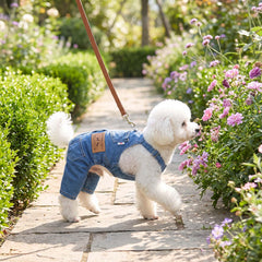 MuYaoPet Dog Denim Overalls with the three jean-style pockets in view.