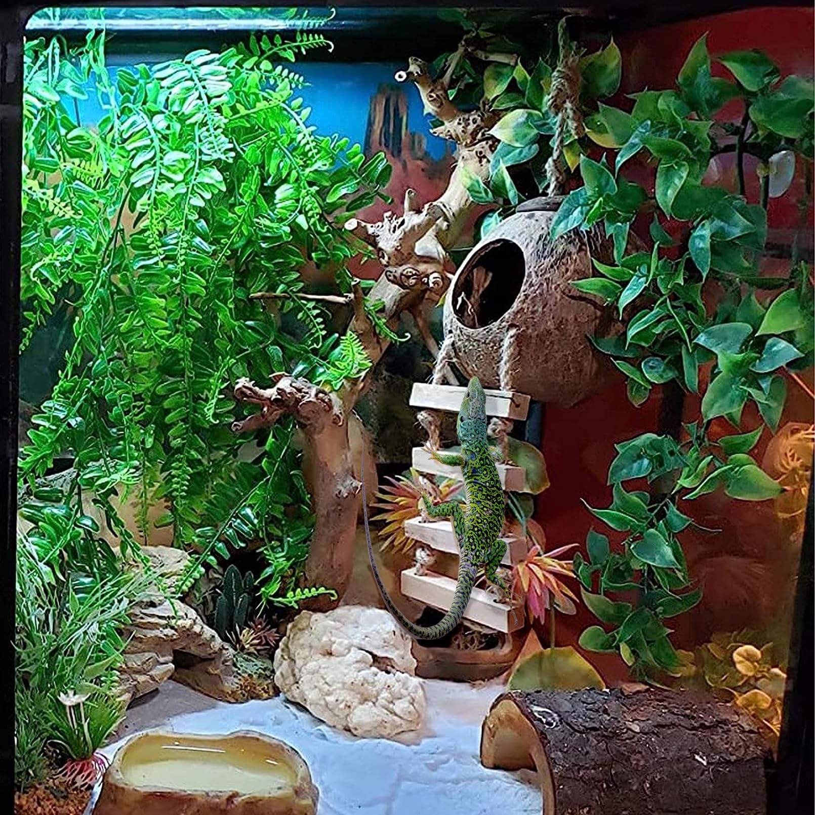 MUYG gecko coconut hut presented with its climbing and plant-style decorations.
