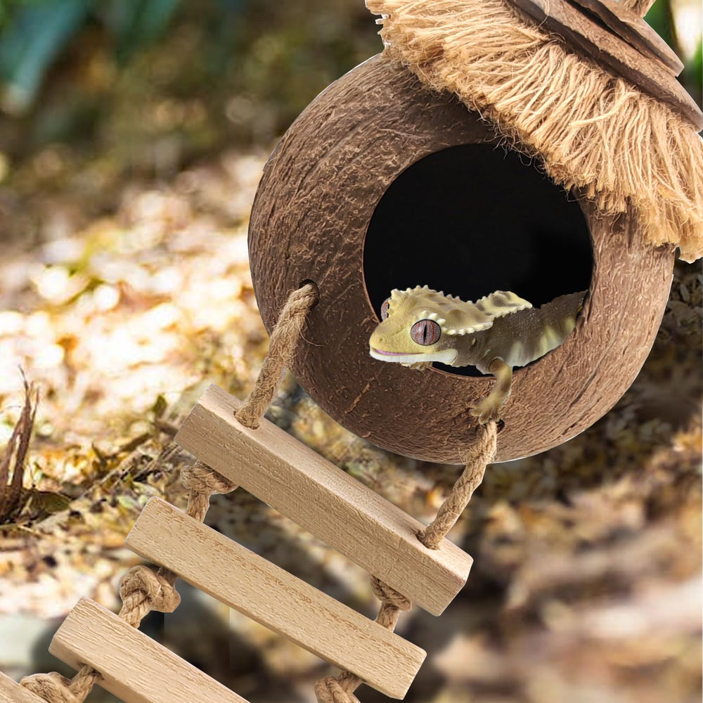 MUYG Gecko Coconut Hideout with its hanging hook for terrarium placement.