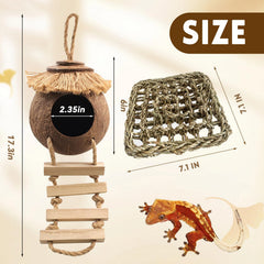 MUYG Gecko Coconut Hideout with Ladder shown with its climbing ladder.