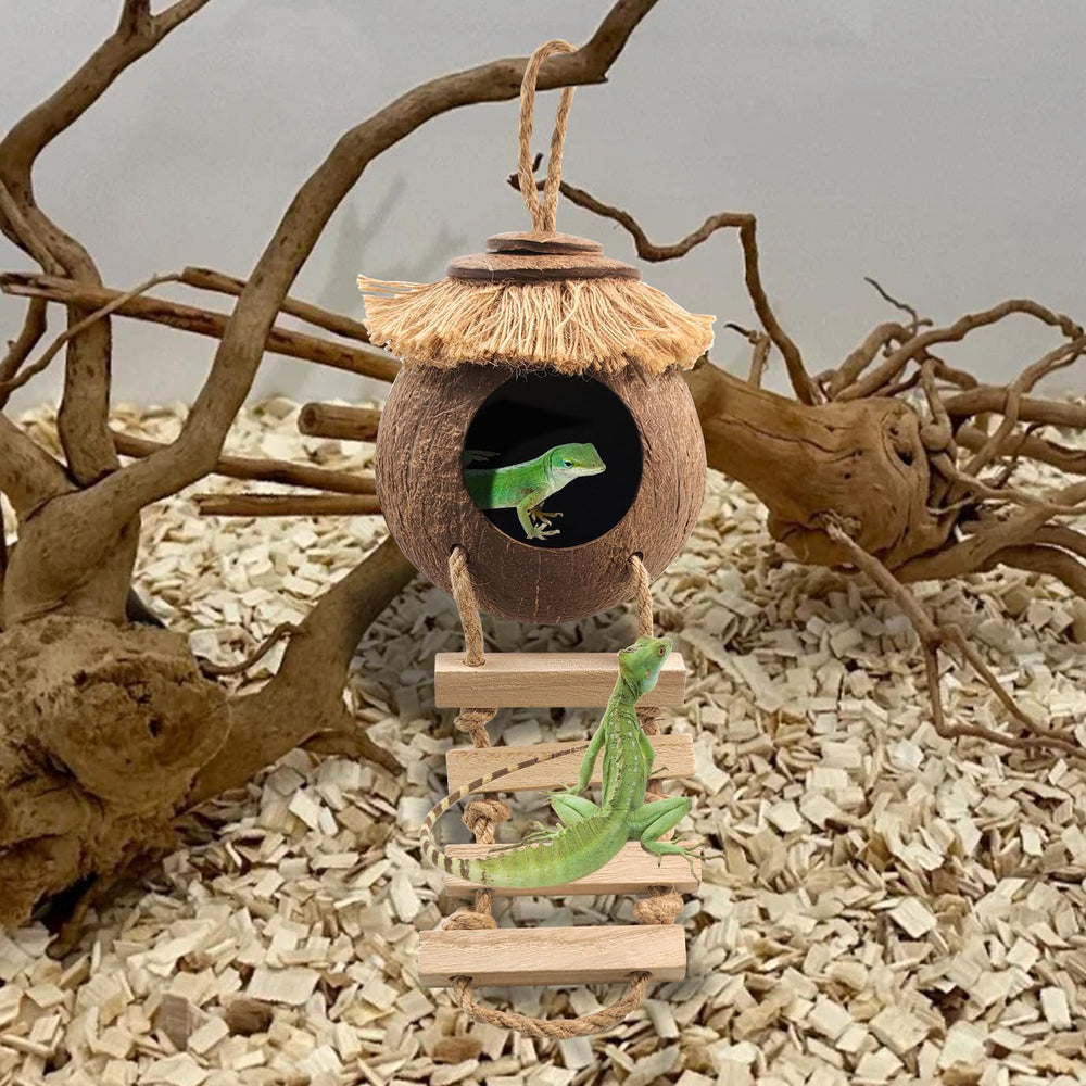 MUYG Gecko Coconut Hideout set featuring the large leaf decoration.
