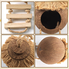 MUYG Gecko Coconut Hideout set contents with the hide, hammock, greenery, hook and suction cups.