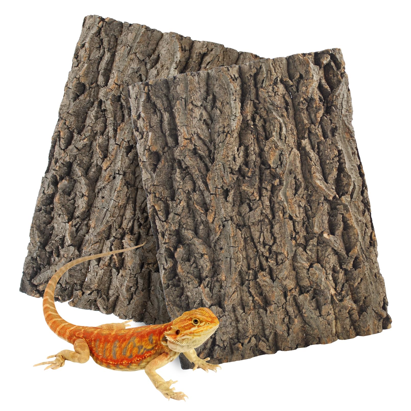 MUYG reptile cork bark background shown from the front.