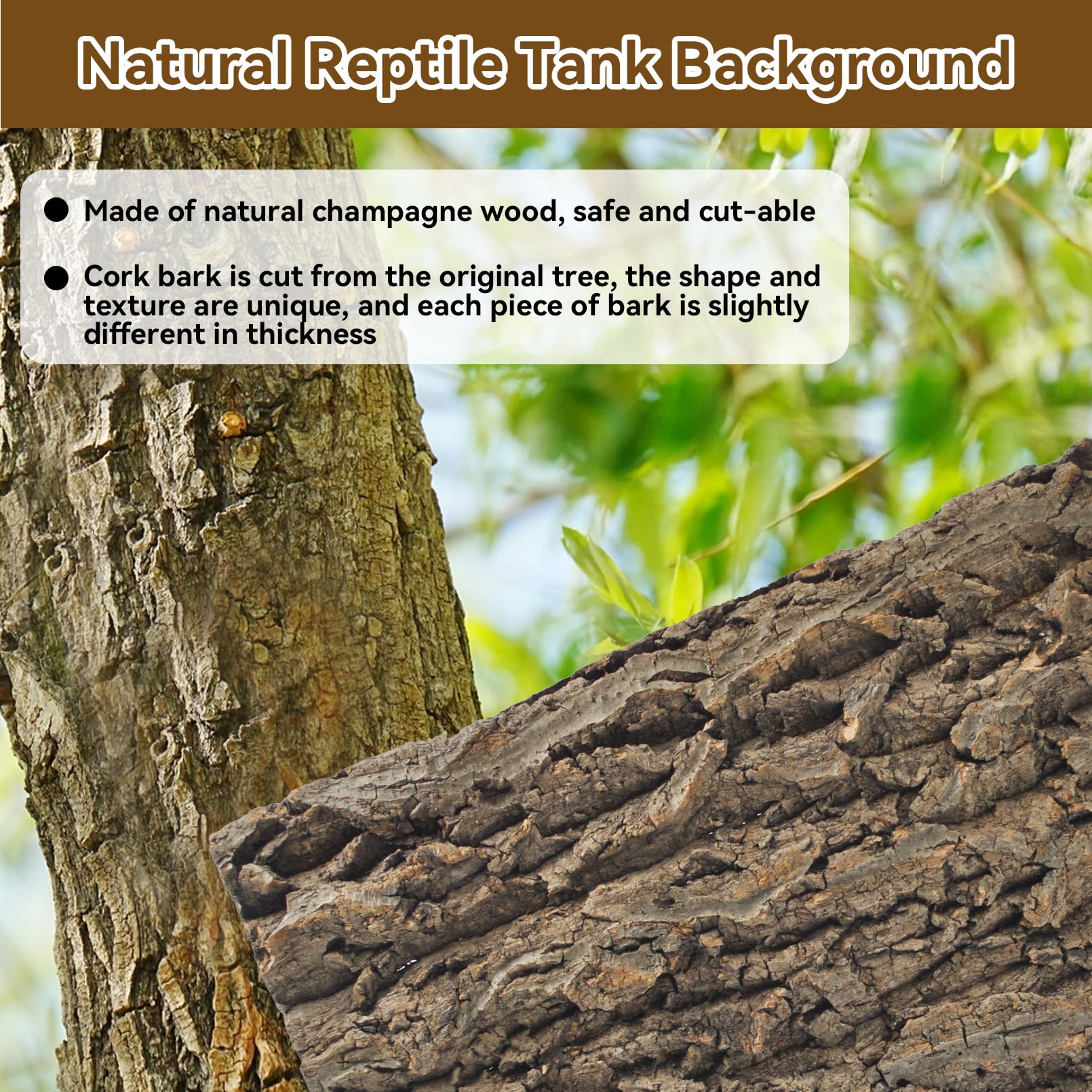 MUYG reptile cork bark background used as a natural-style habitat wall.