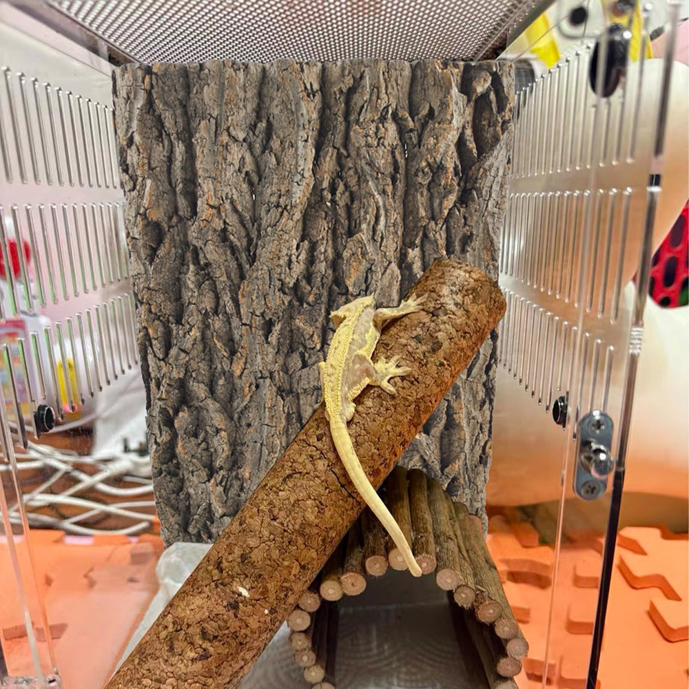 MUYG reptile cork bark background fitted as a terrarium wall backdrop.