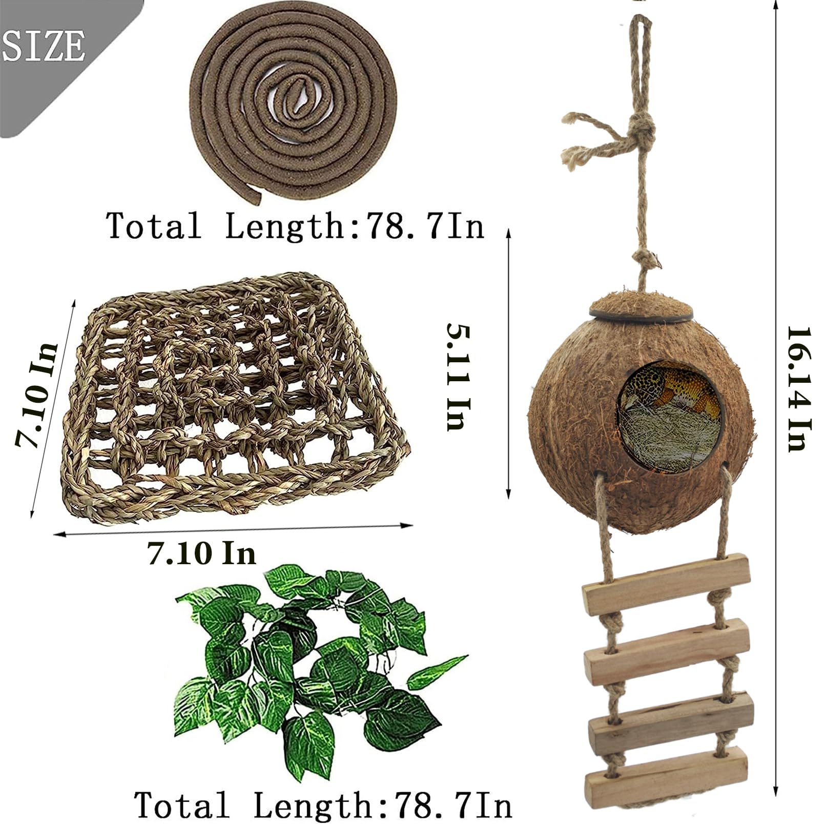 MUYG reptile hammock shown as a resting and climbing feature.