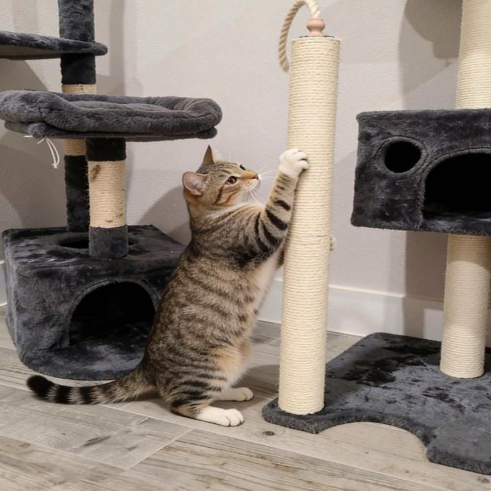 Two MUYG cat scratching post replacement parts displayed side by side.