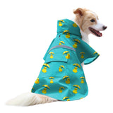 NACOCO dog raincoat shown from the front in Lake Green with its hood and yellow duck design.
