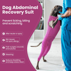 Nanaki Dog Wound Care Shirt showing the zipper along the back.