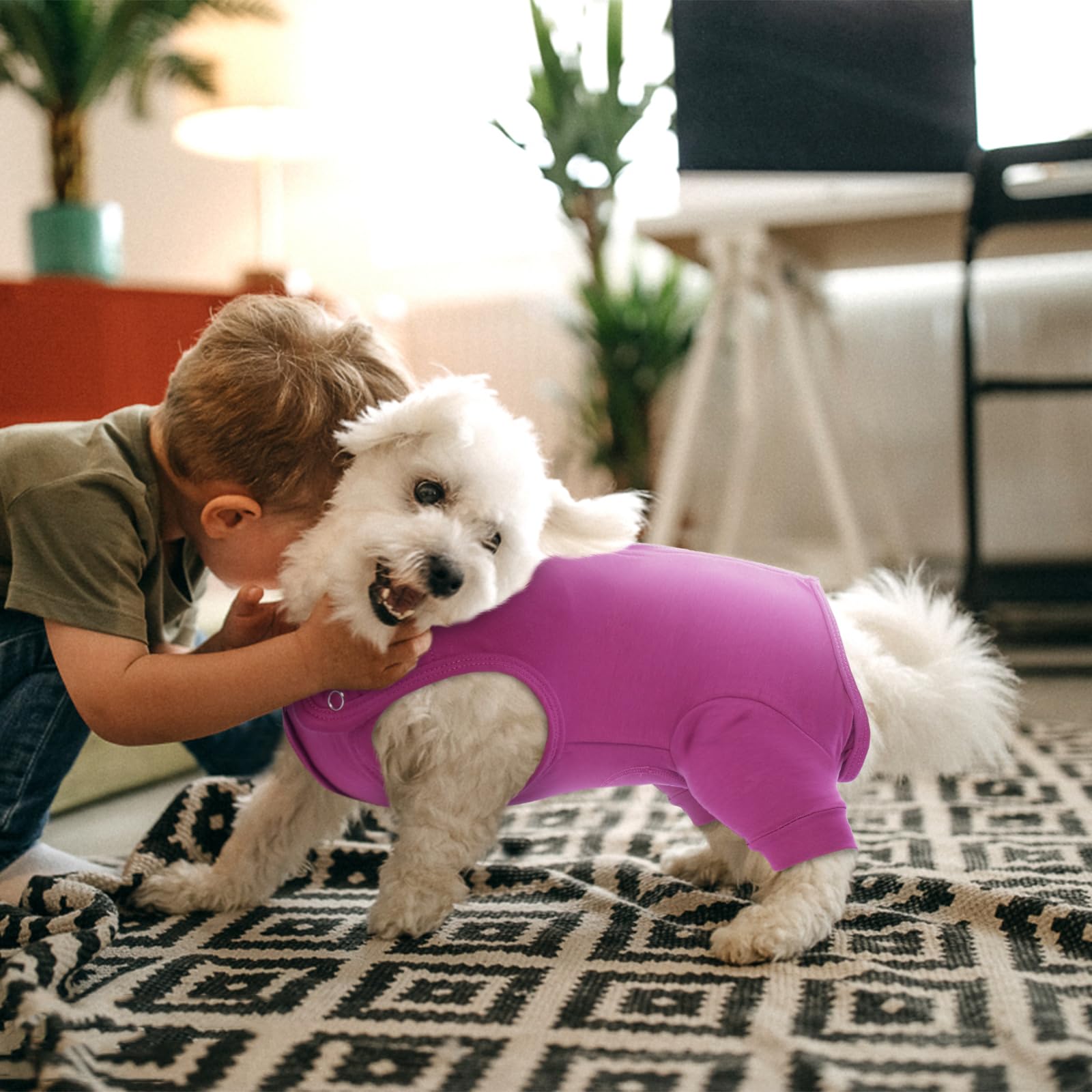 Nanaki Dog Wound Care Shirt shown worn by a dog during recovery.
