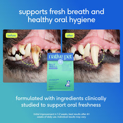 Native Pet Clean Breath dog dental powder package shown from the back.