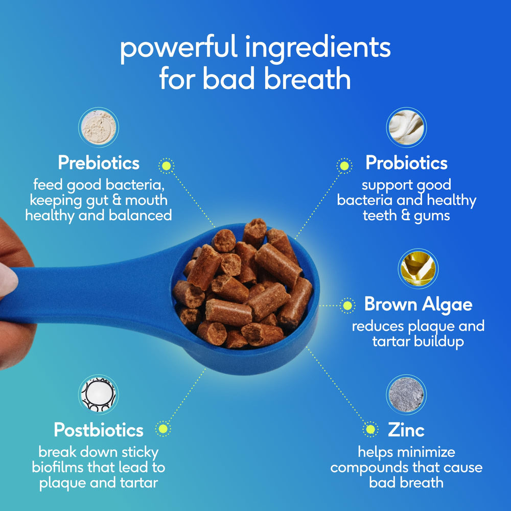 Close-up view of Native Pet Clean Breath dog dental powder.