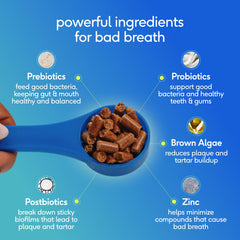 Close-up view of Native Pet Clean Breath dog dental powder.