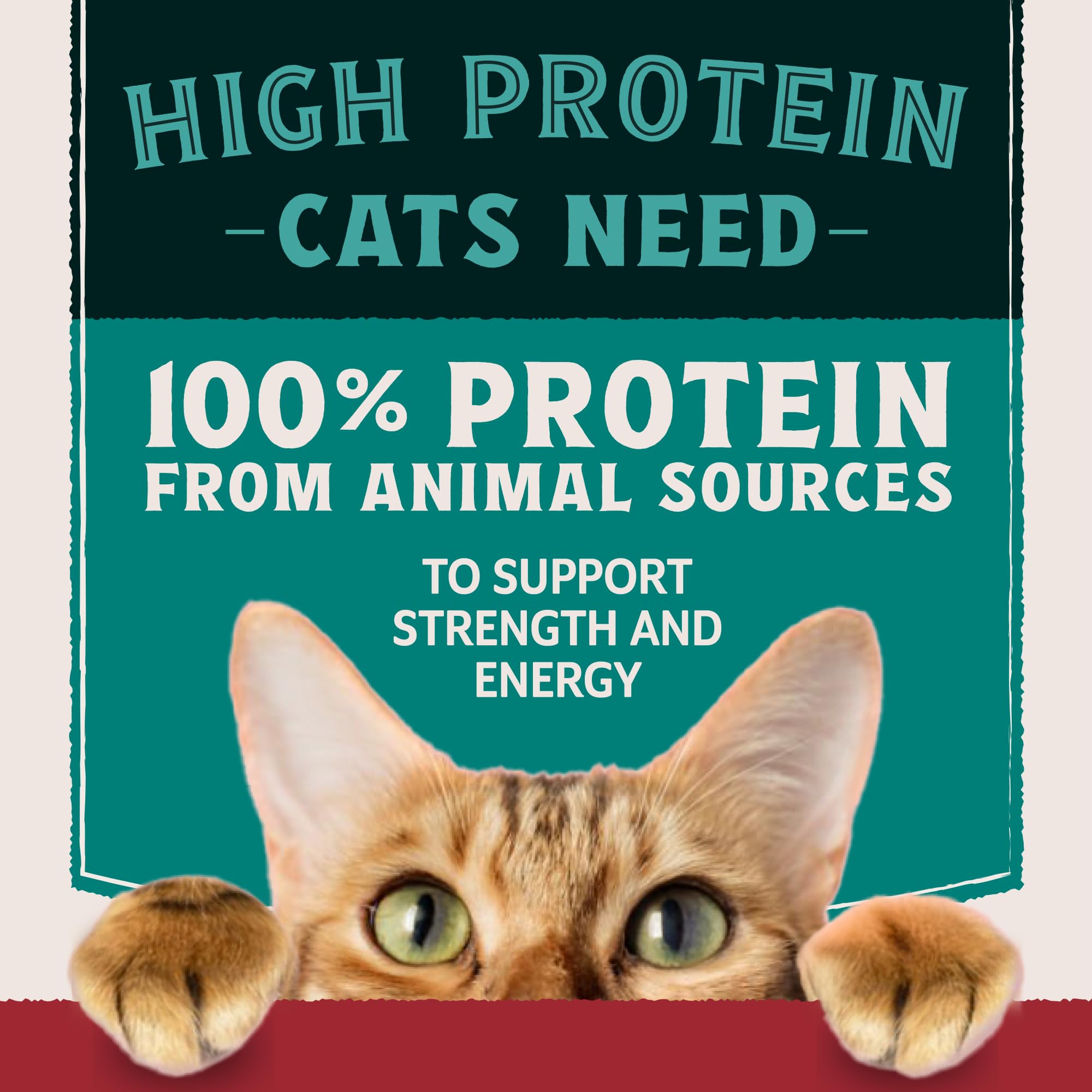 Natural Balance Ultra Protein cat food served in broth.