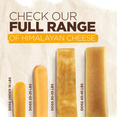 Natural Farm Himalayan Yak Cheese Chews shown to highlight the small chew shape.