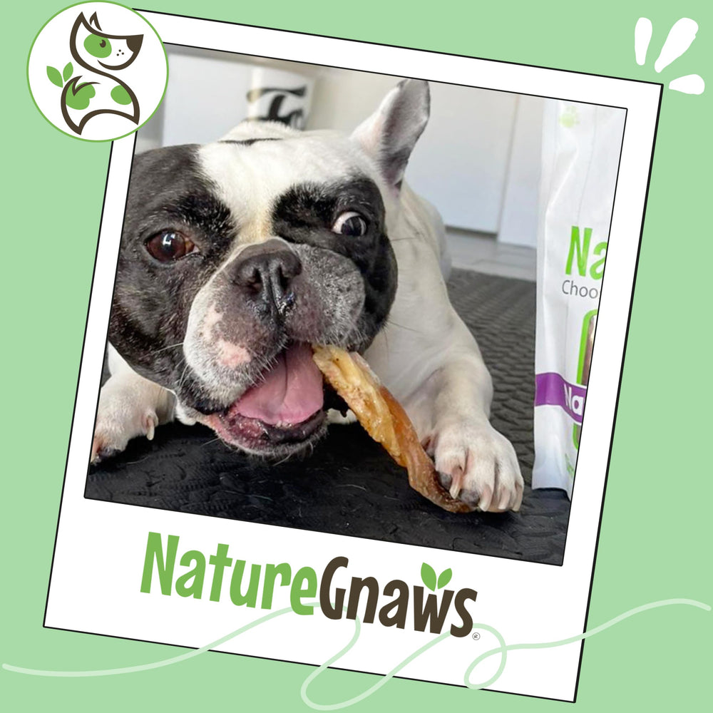 Nature Gnaws Beef Tendons shown as a single-ingredient beef chew.