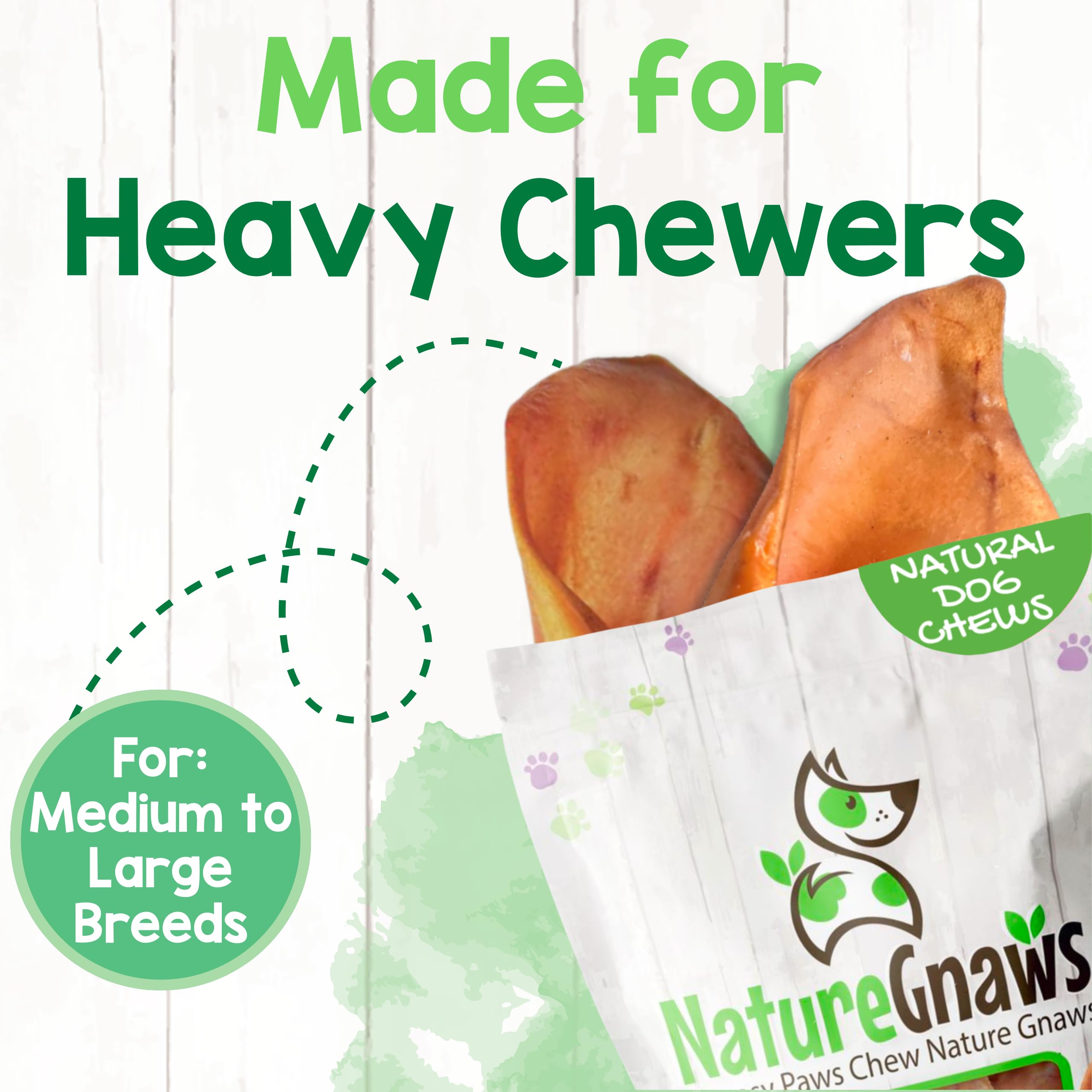 A Nature Gnaws Pig Ear offered as a dog treat.