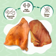 Nature Gnaws Pig Ear shown as a whole pork chew.