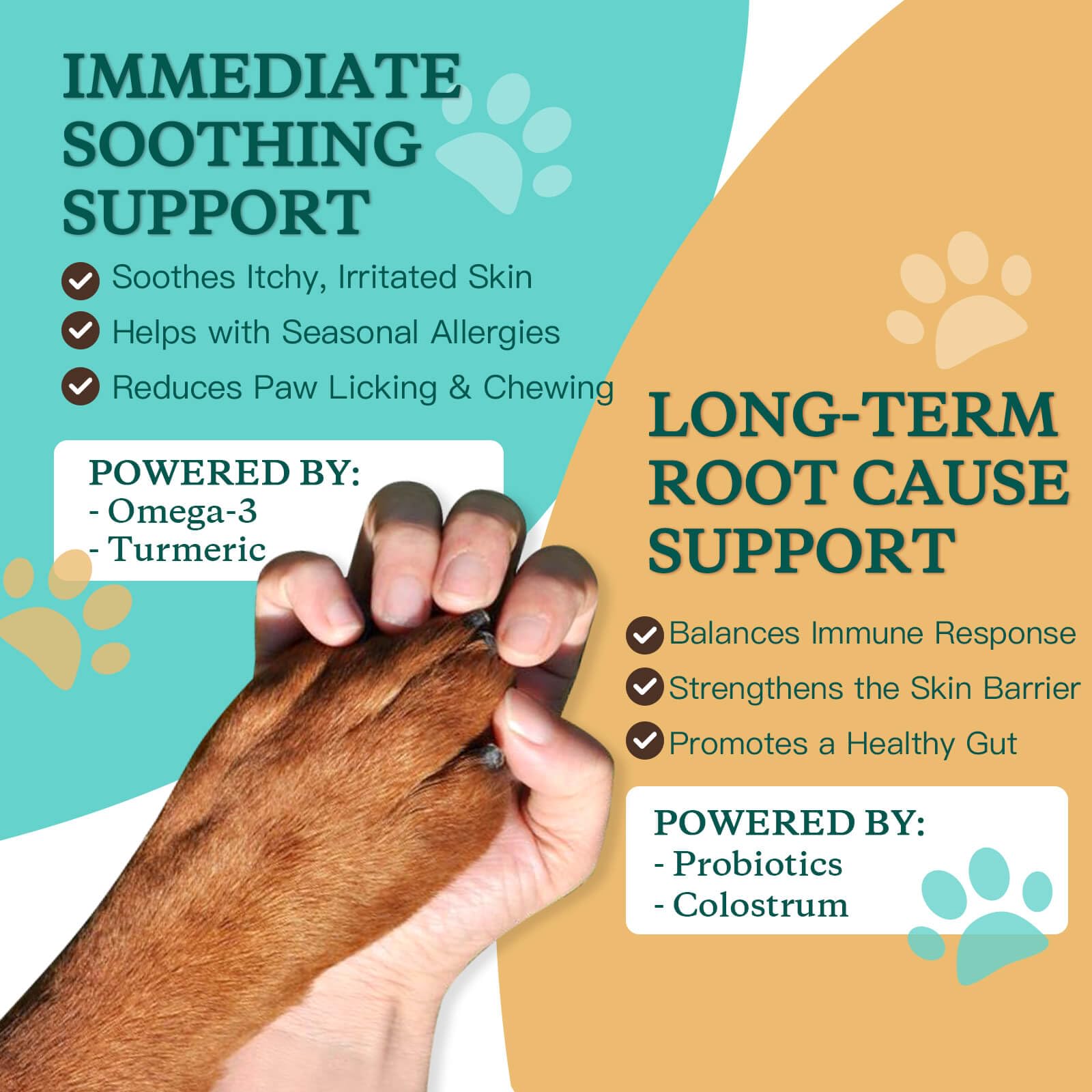 NATURE TARGET Dog Allergy Chews with colostrum, turmeric, quercetin and bromelain.
