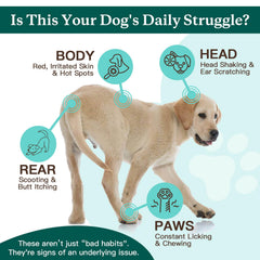NATURE TARGET Dog Allergy Chews made with real chicken.