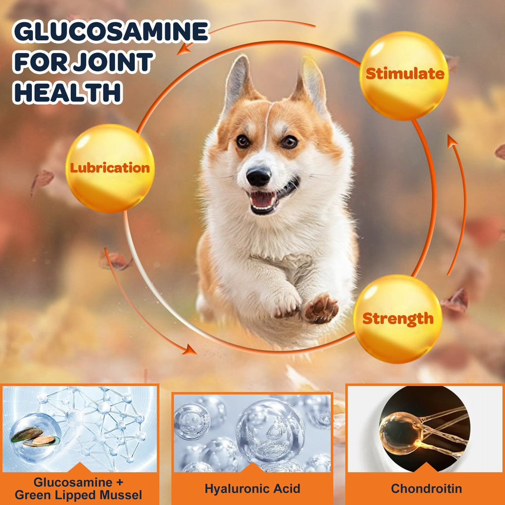 Side view of the NATURE TARGET dog joint supplement product.