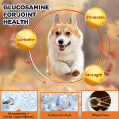 Side view of the NATURE TARGET dog joint supplement product.